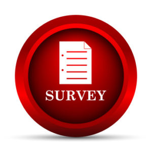 Survey icon. Internet button on white background.