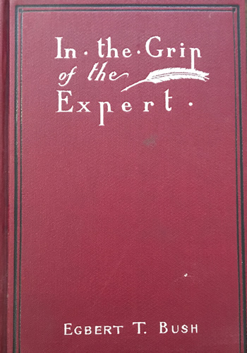 In the Grip of the Expert (A Novel) 
