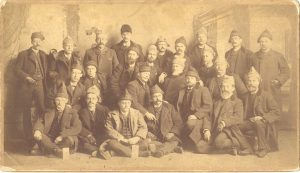 Collection 288 Sample